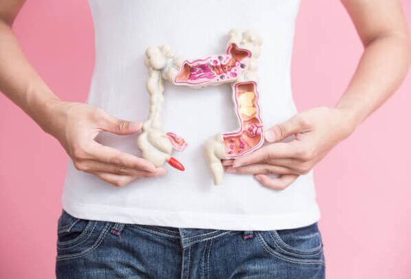 Function of the intestine